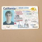 california driver's license renewal