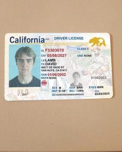 california driver's license renewal